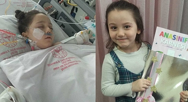 4. KATTAN ÇOCUĞUN ÜZERİNE DÜŞTÜ