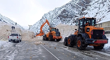 ÇIĞIN KAPATTIĞI YOL ULAŞIMA AÇILDI