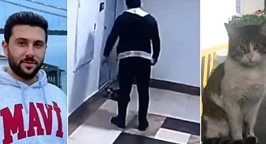 KEDİ KATİLİNE ÖDÜL GİBİ CEZA