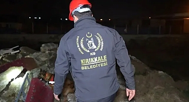 KURTARICI KÖPEKLERE GECE TATBİKATI
