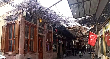 TARİHİ İLÇE MOR SALKIMLARLA RENKLENDİ